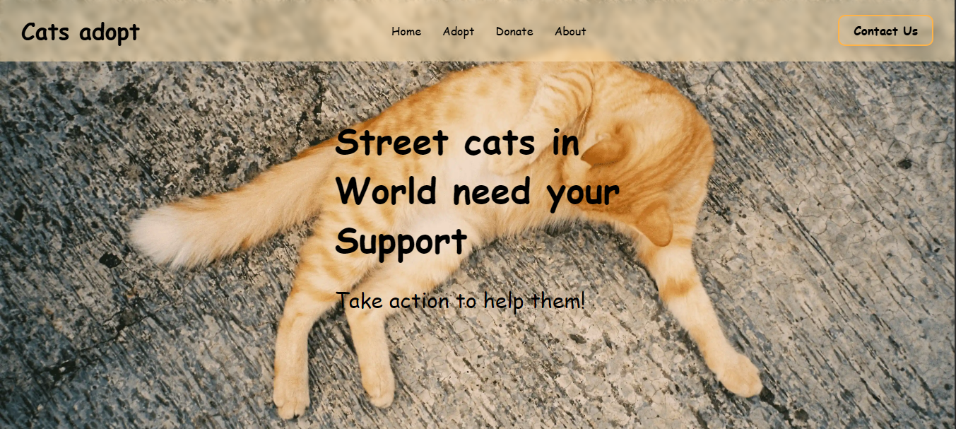 Cat adoption